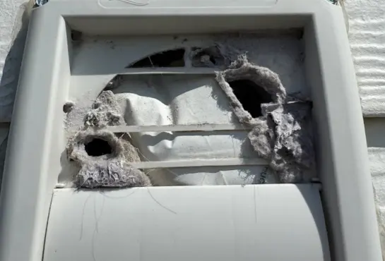 dryer vent cleaning,